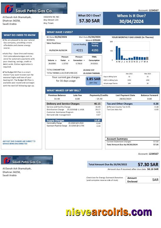 Saudi Arabia Saudi Petro Gas business utility bill